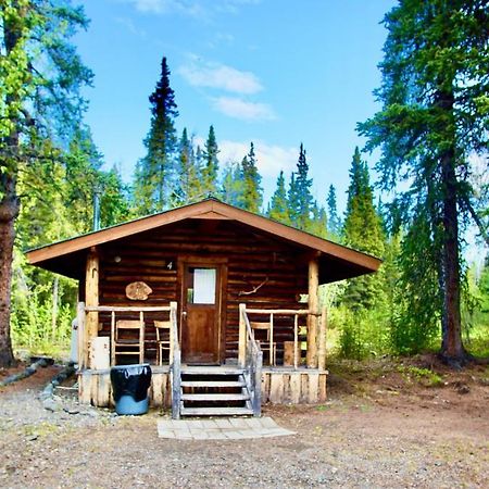 Villa Carlo Creek Cabins à Denali Park Extérieur photo