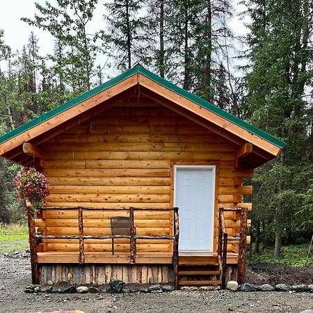 Villa Carlo Creek Cabins à Denali Park Extérieur photo