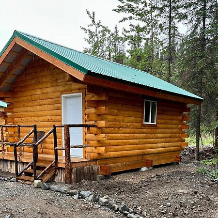 Villa Carlo Creek Cabins à Denali Park Extérieur photo