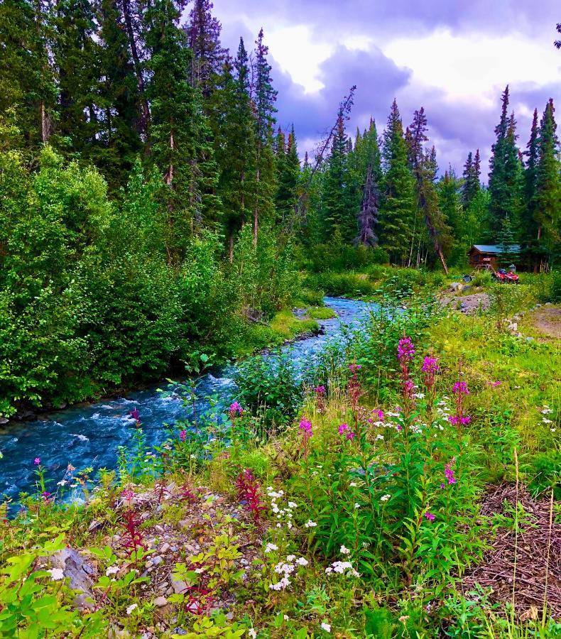 Villa Carlo Creek Cabins à Denali Park Extérieur photo