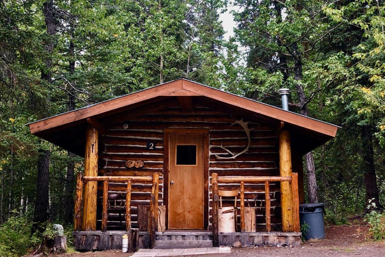 Villa Carlo Creek Cabins à Denali Park Extérieur photo