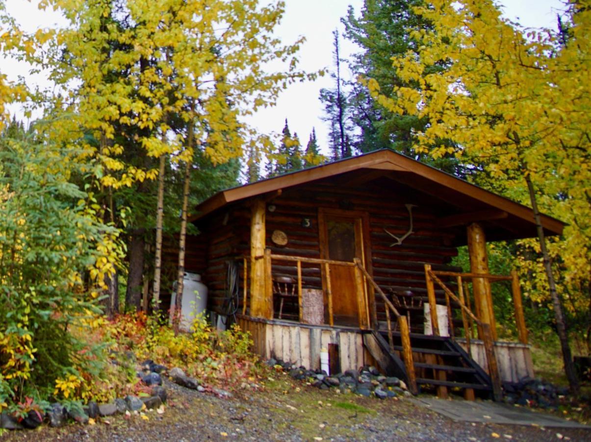 Villa Carlo Creek Cabins à Denali Park Extérieur photo