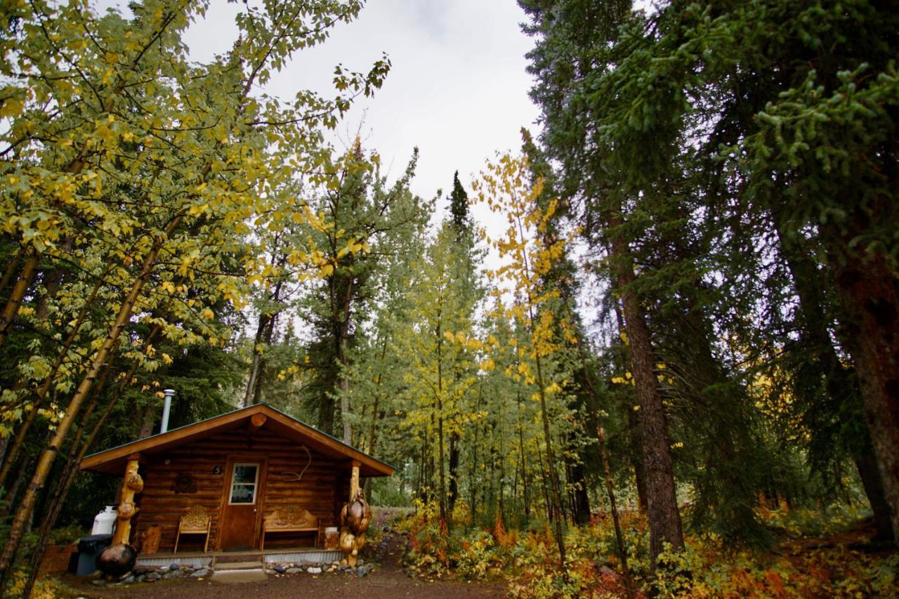 Villa Carlo Creek Cabins à Denali Park Extérieur photo