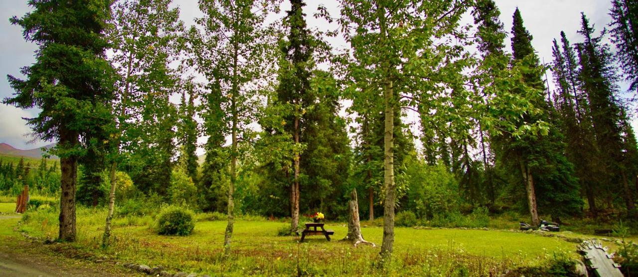 Villa Carlo Creek Cabins à Denali Park Extérieur photo