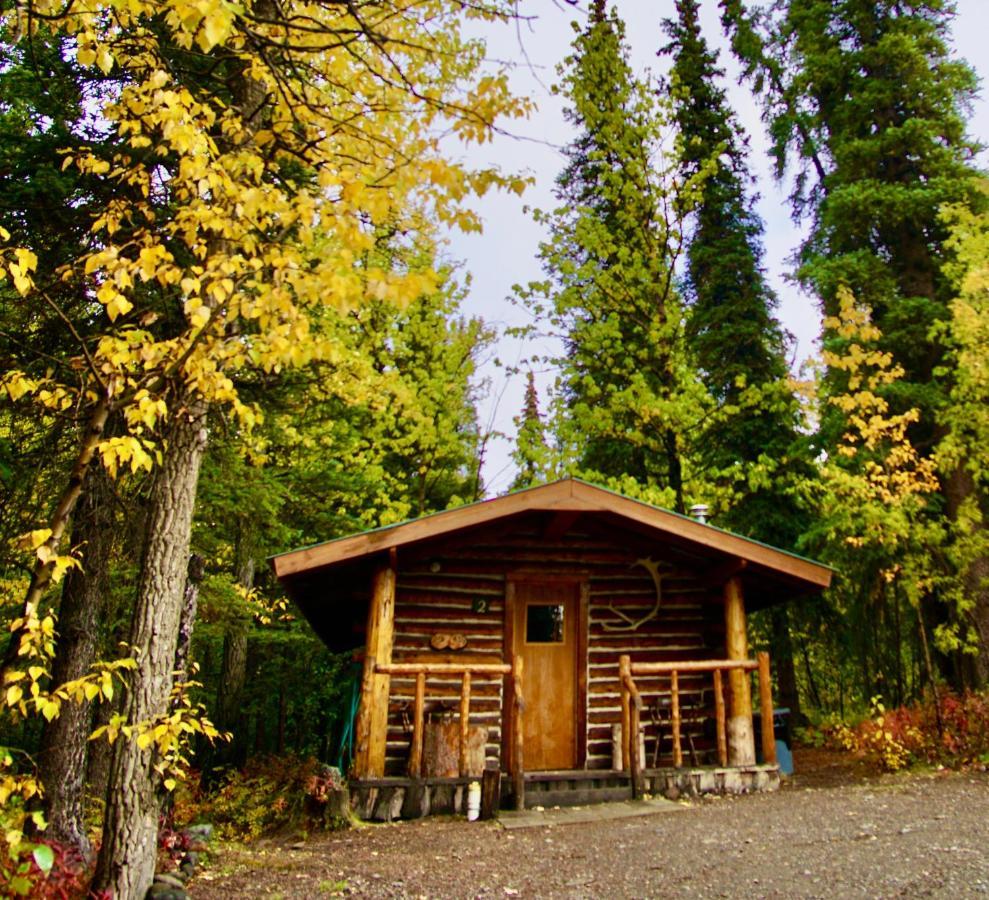 Villa Carlo Creek Cabins à Denali Park Extérieur photo