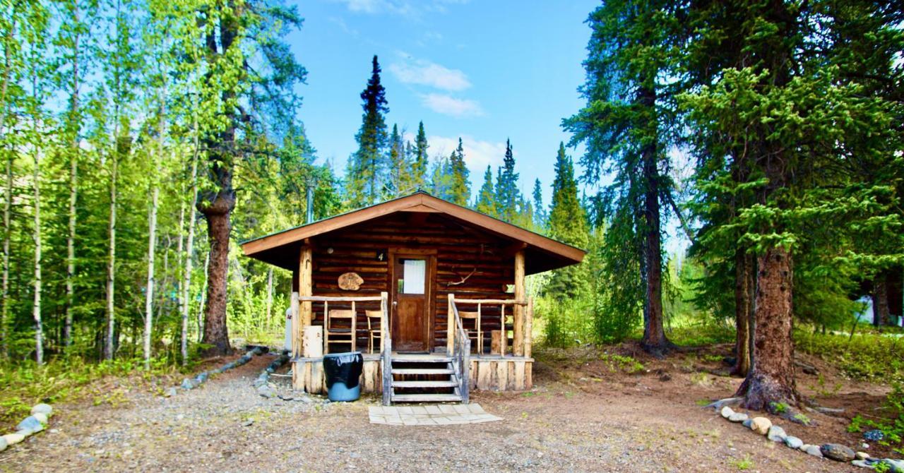 Villa Carlo Creek Cabins à Denali Park Extérieur photo