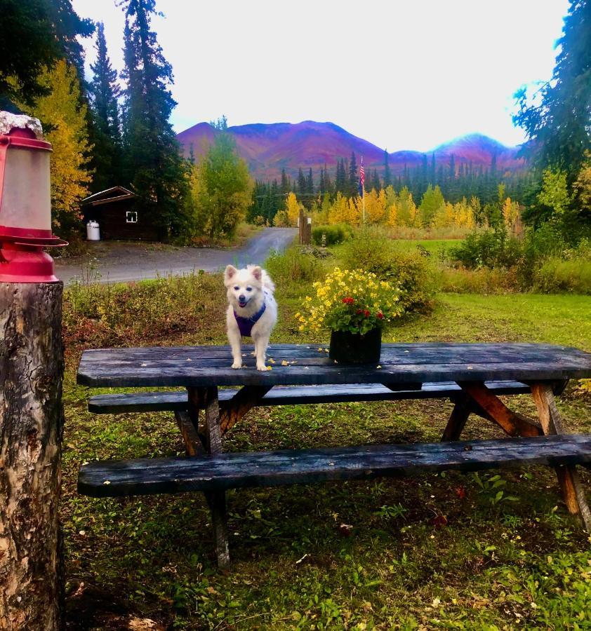 Villa Carlo Creek Cabins à Denali Park Extérieur photo