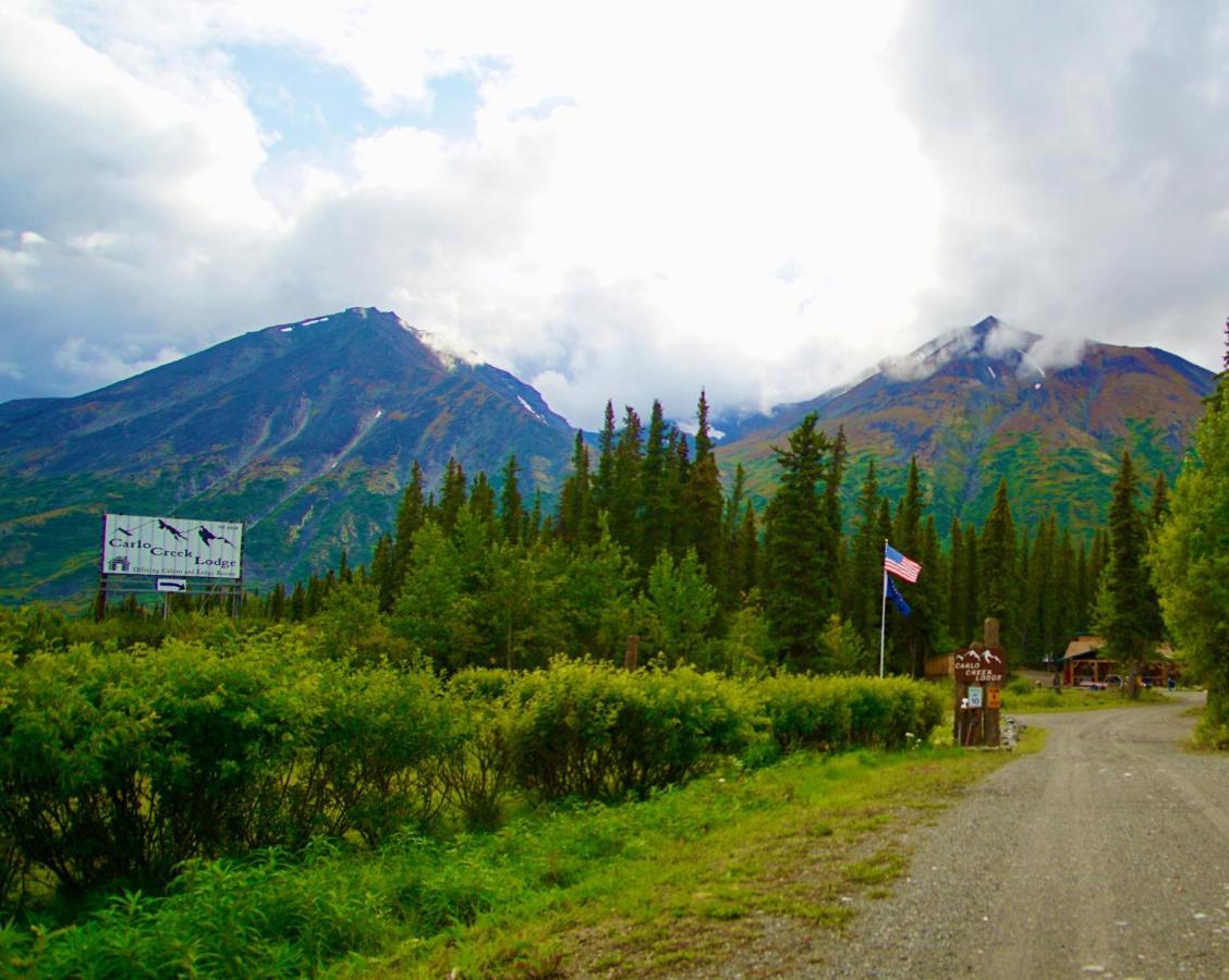 Villa Carlo Creek Cabins à Denali Park Extérieur photo