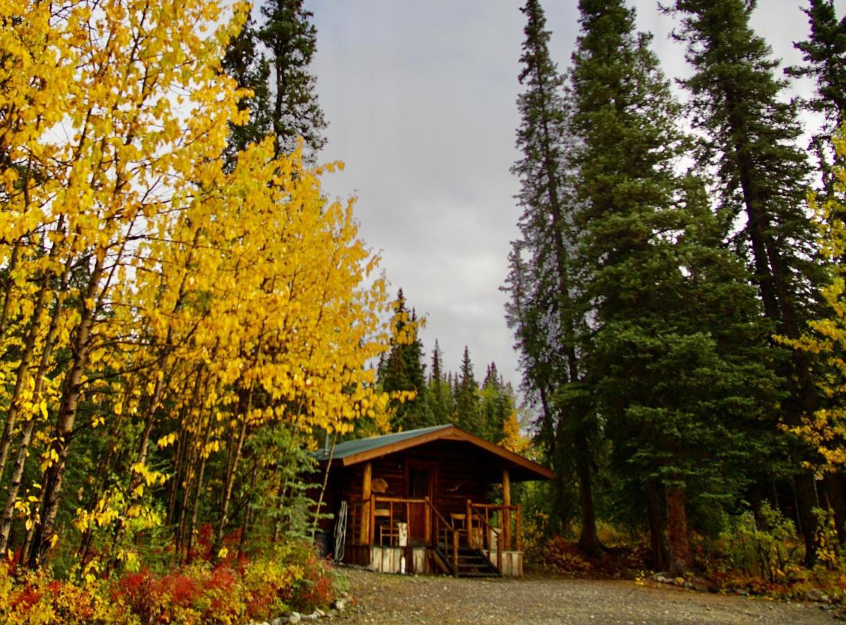 Villa Carlo Creek Cabins à Denali Park Extérieur photo