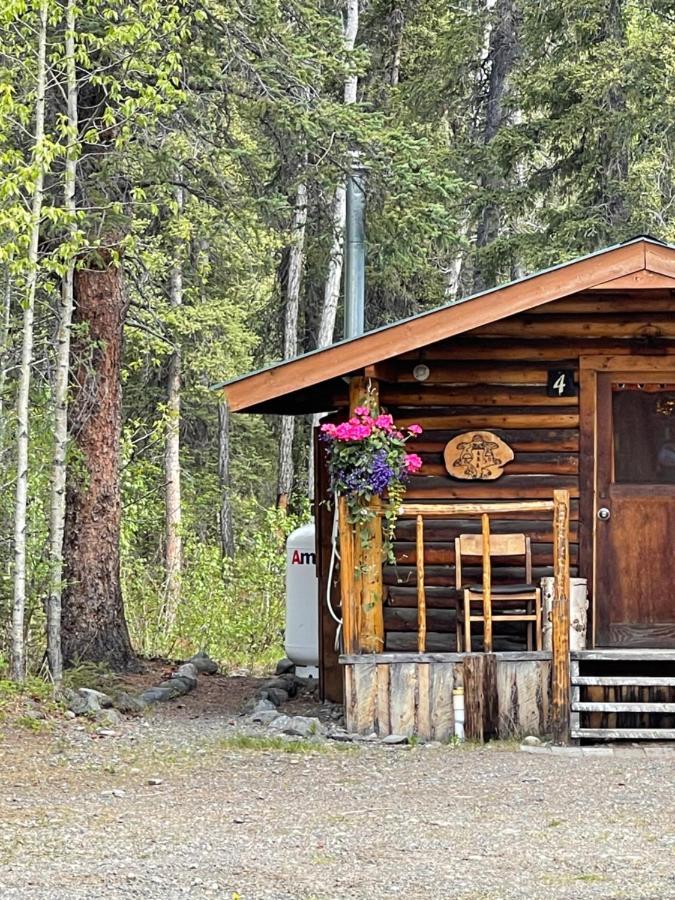 Villa Carlo Creek Cabins à Denali Park Extérieur photo