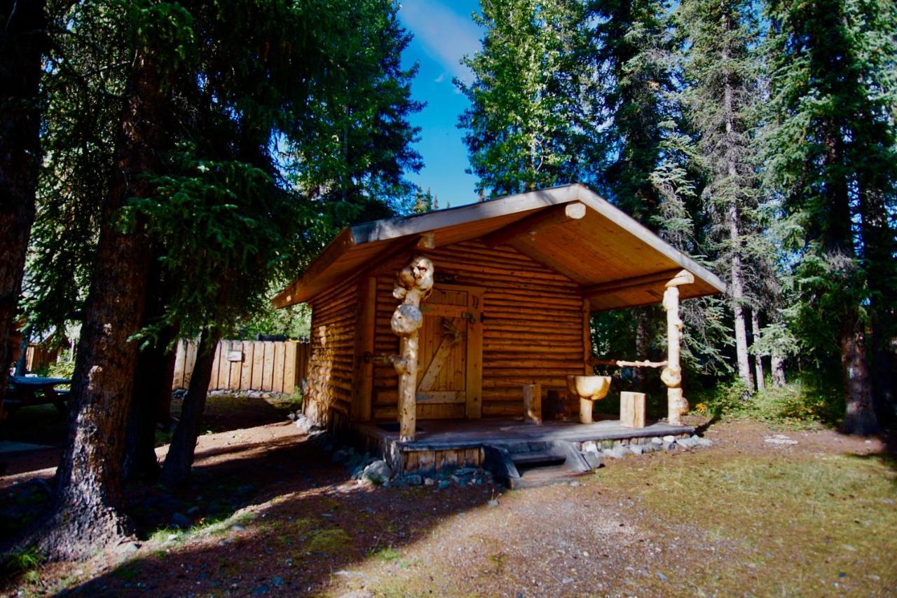 Villa Carlo Creek Cabins à Denali Park Extérieur photo