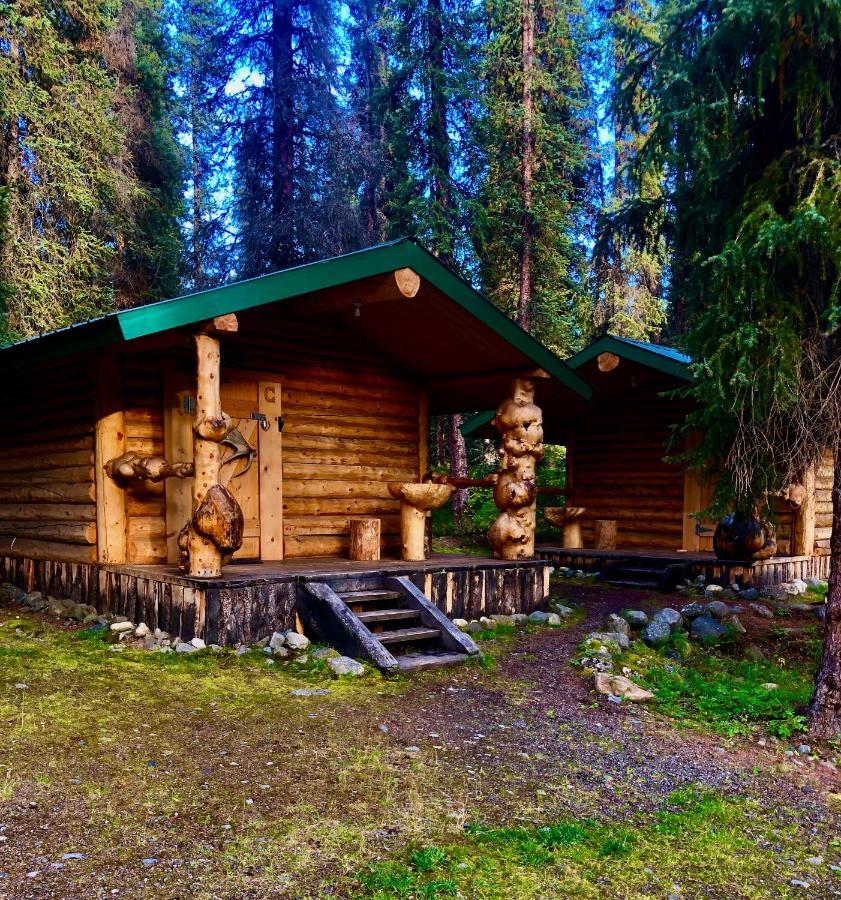 Villa Carlo Creek Cabins à Denali Park Extérieur photo