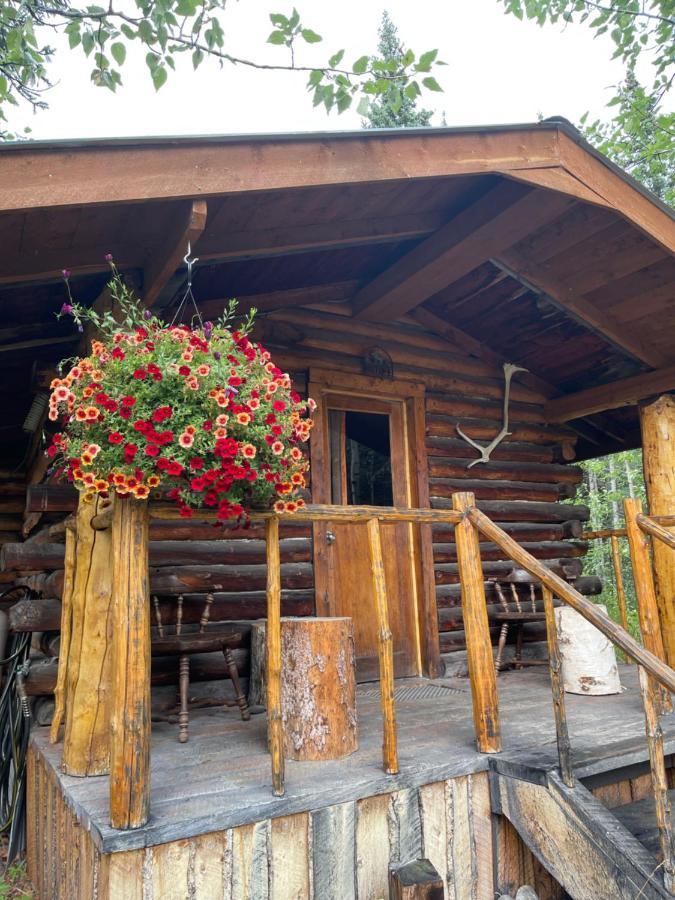 Villa Carlo Creek Cabins à Denali Park Extérieur photo