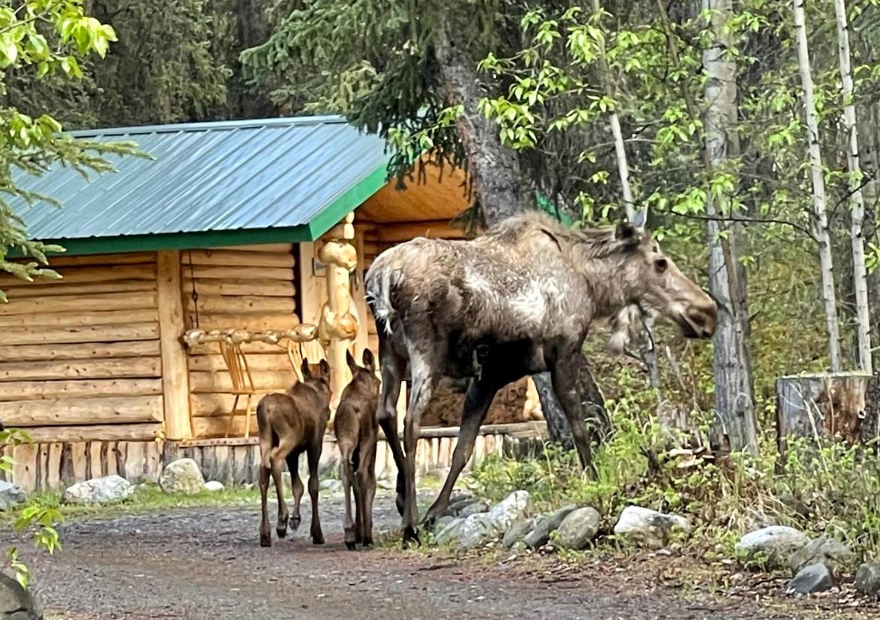 Villa Carlo Creek Cabins à Denali Park Extérieur photo