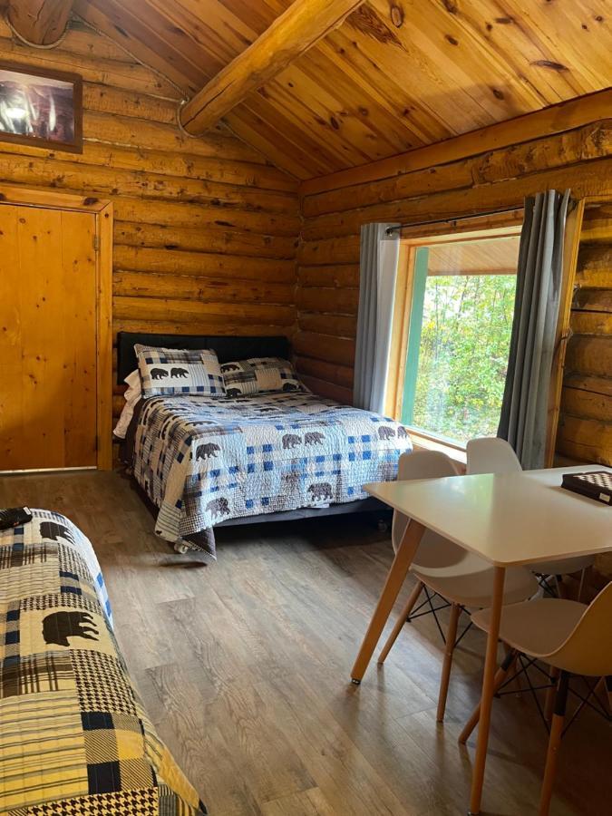 Villa Carlo Creek Cabins à Denali Park Extérieur photo