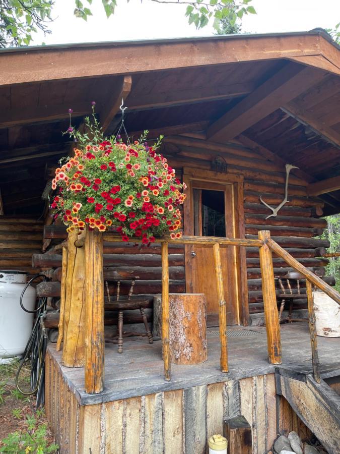 Villa Carlo Creek Cabins à Denali Park Extérieur photo