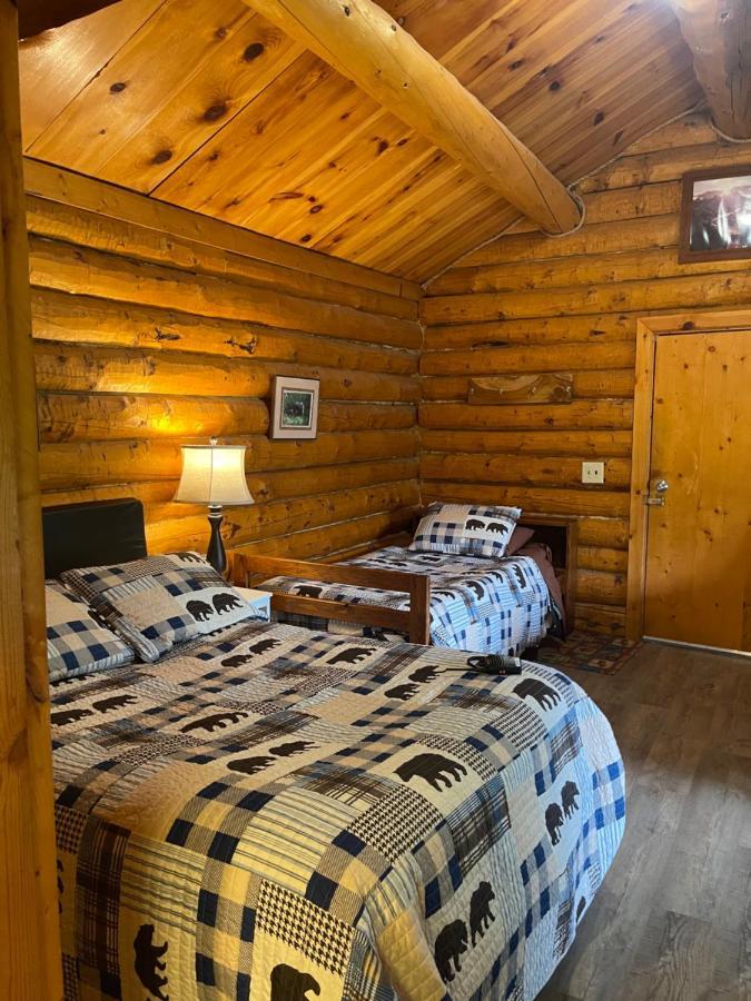 Villa Carlo Creek Cabins à Denali Park Extérieur photo