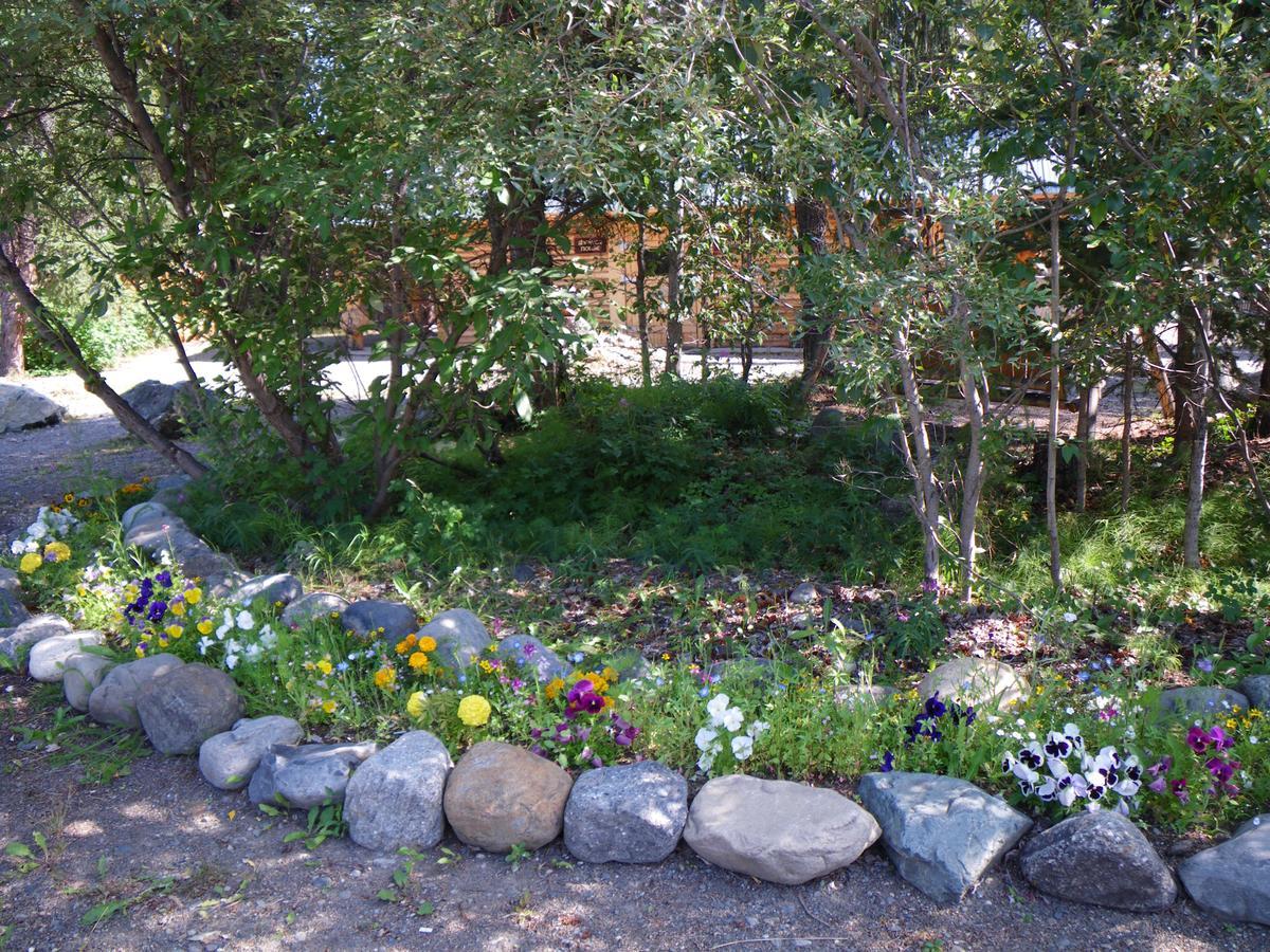 Villa Carlo Creek Cabins à Denali Park Extérieur photo