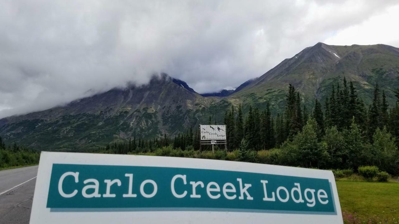 Villa Carlo Creek Cabins à Denali Park Extérieur photo