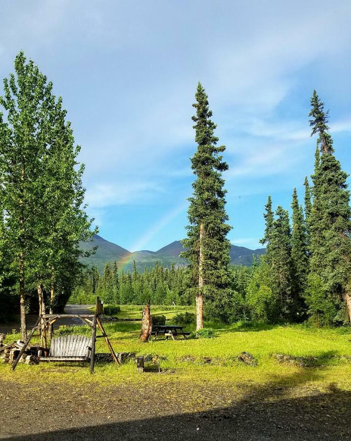 Villa Carlo Creek Cabins à Denali Park Extérieur photo