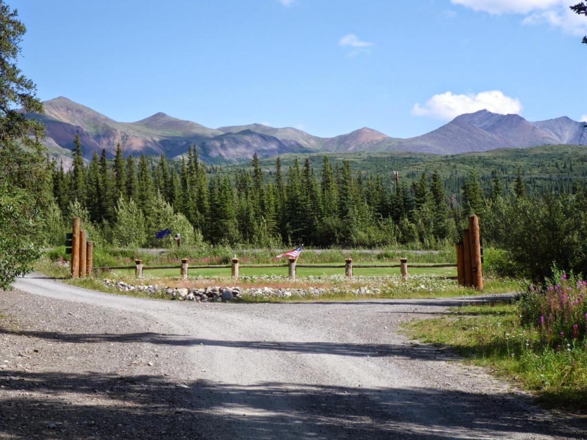 Villa Carlo Creek Cabins à Denali Park Extérieur photo