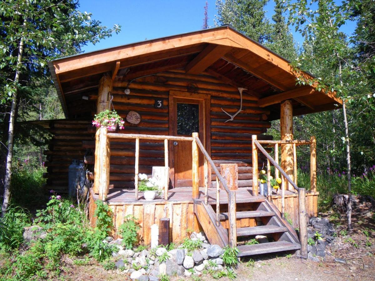 Villa Carlo Creek Cabins à Denali Park Extérieur photo